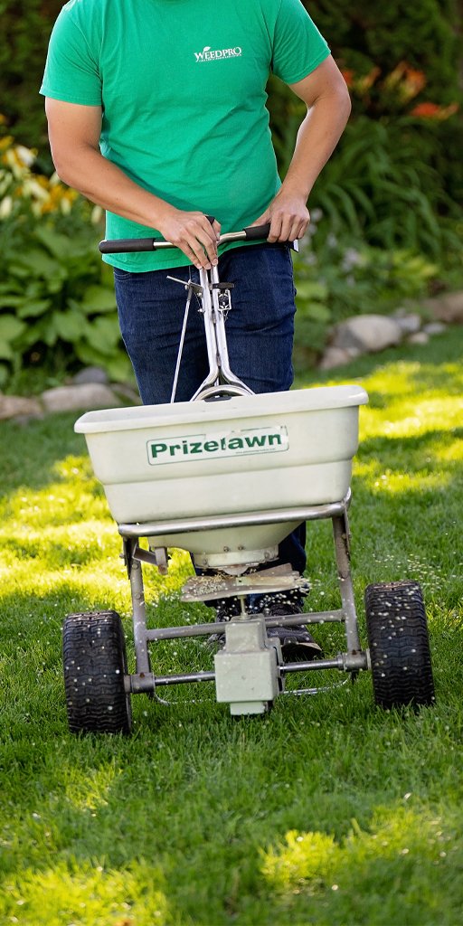 Professional lawn care services in Regina, including mowing, weed control, fertilizer, and aeration