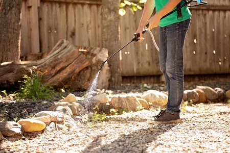 vegetation weed control
