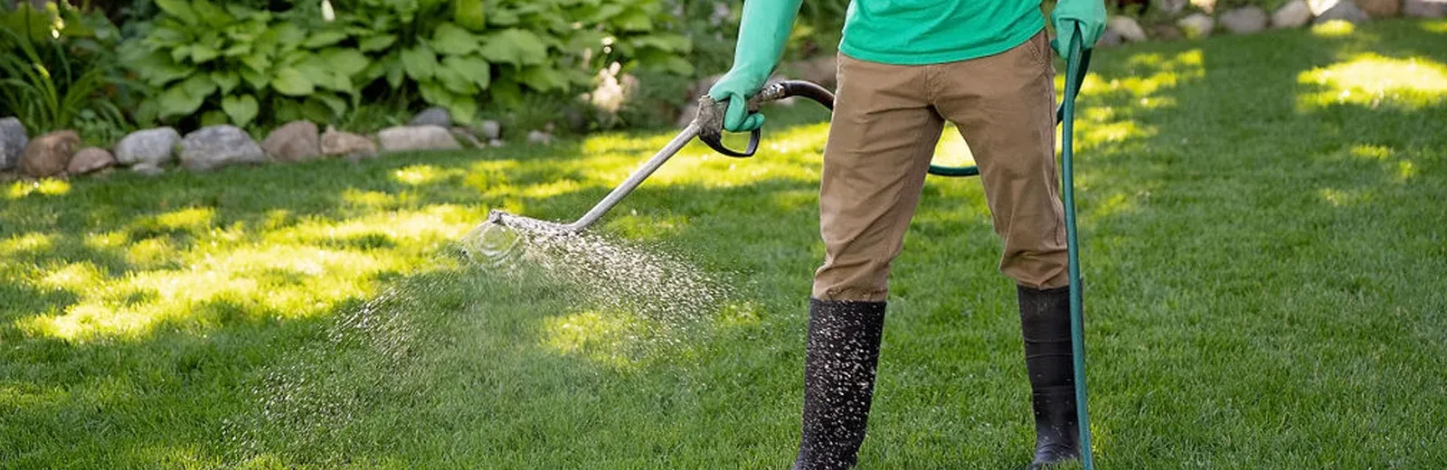 Spraying lawn for weeds