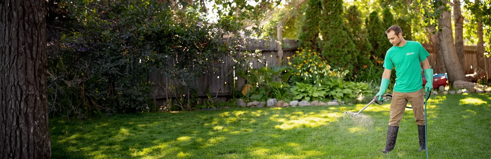 spraying lawn for weeds