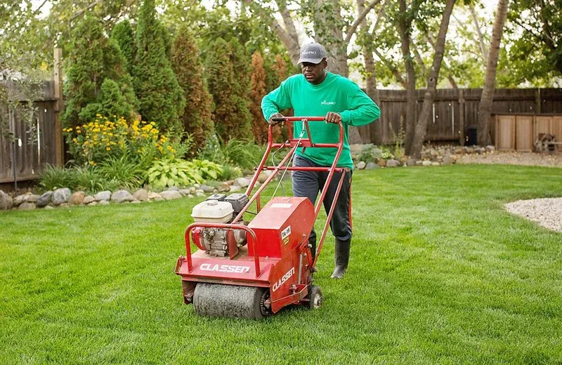 aerating lawn