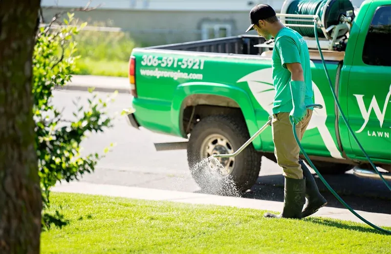 spraying lawn for weeds, weed control