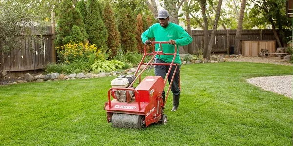 aerating lawn