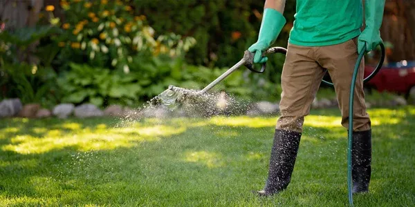 tech spraying weeds in lawn