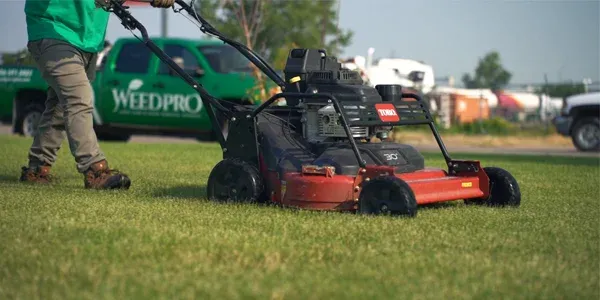 WeedPro tech mowing a lawn