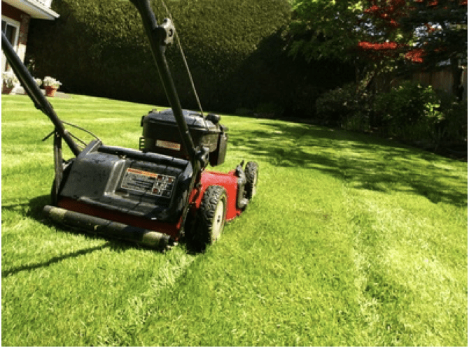 How to mow the lawn