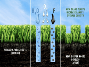 What does lawn aeration do?