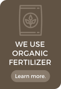 Regina Organic Fertilizer