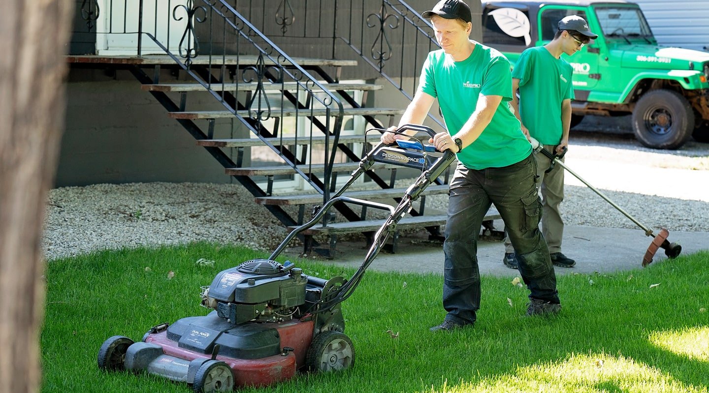 commercial lawn care service in Regina by Weed Pro team maintaining a business property
