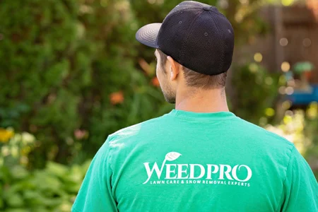 “Free quote Regina – Weed Pro lawn care and weed control services”