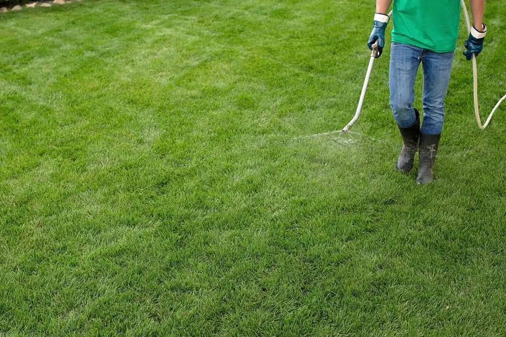 Professional lawn care service in Regina by Weed Pro