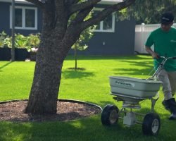 Lawn-Care-min