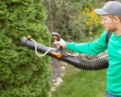 Mosquito control spraying service in a Regina backyard