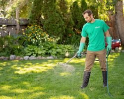 Weed Pro Regina expert applying weed control treatment on a residential lawn